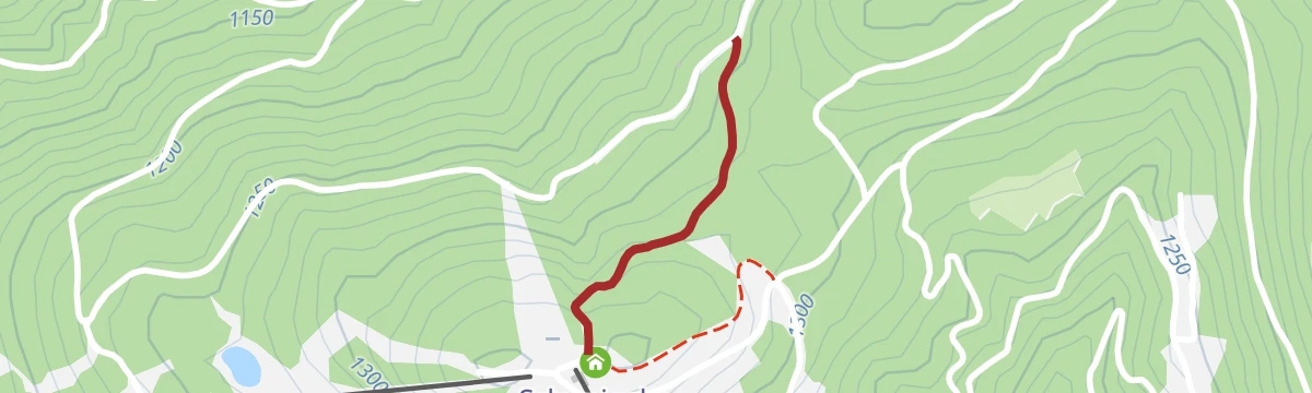 Route map: Variante Schwaigalm (SW03-V1)
